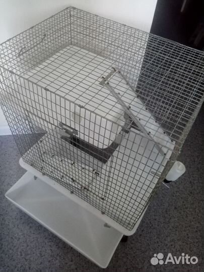 Клетка для крыс