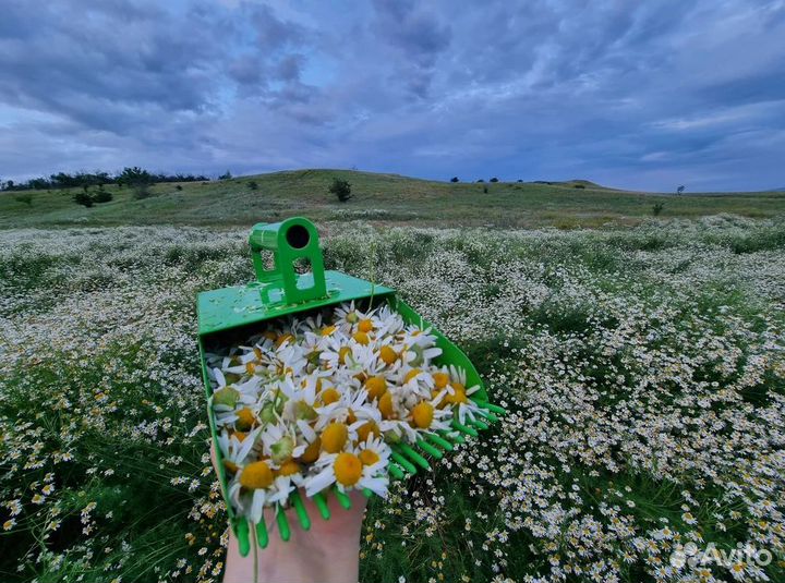 Совок для сбора ягод, лекарственного сырья, (11)