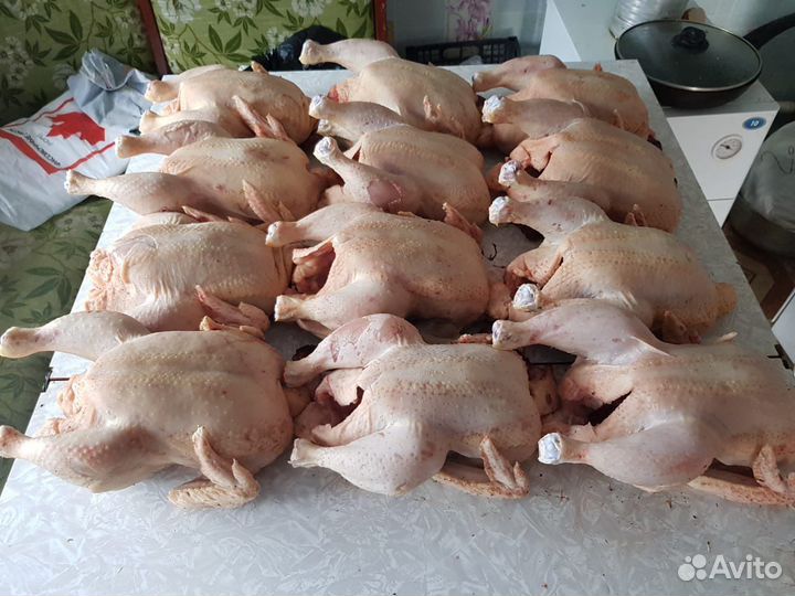 Мясо курицы