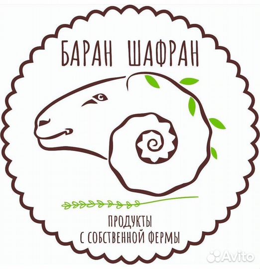 Стадо баранов