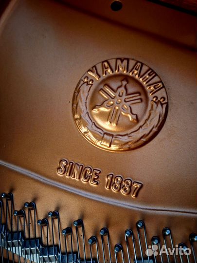 Рояль кабинетный Ямаха С2