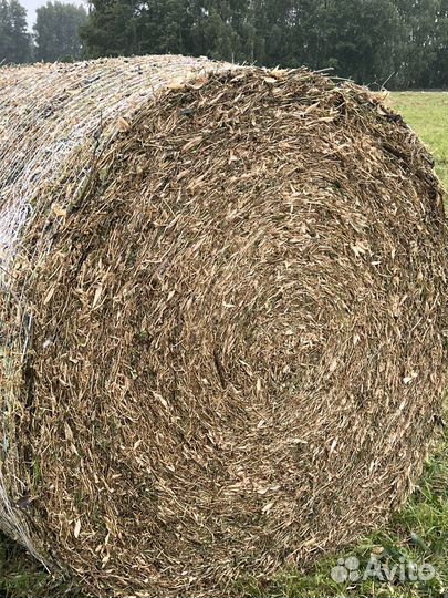 Гороховая солома