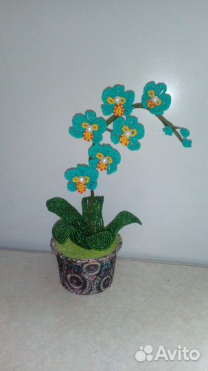 Мини орхидеи