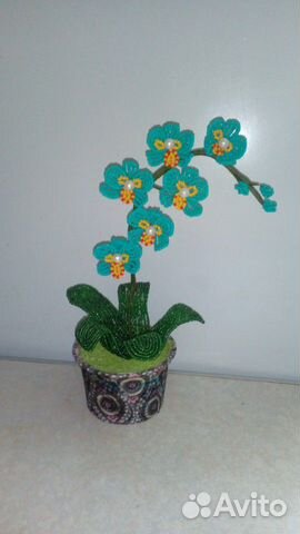 Мини орхидеи