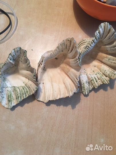 Фильтр помпа и декор для аквариума