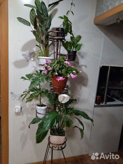 Стойка для цветов