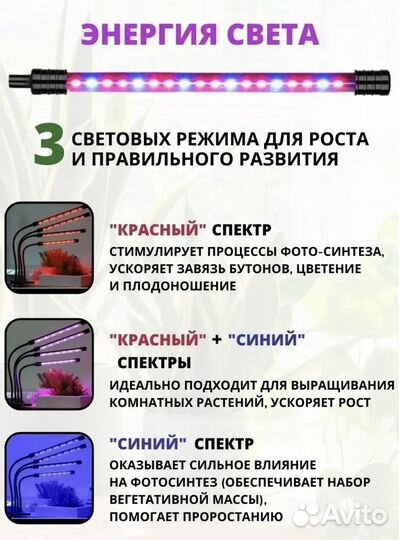 Фитолампа для растений