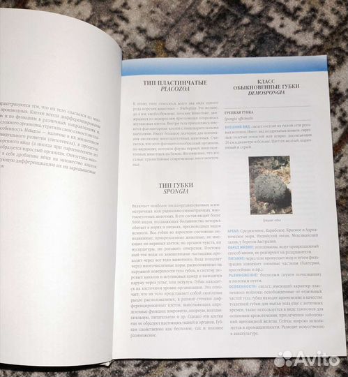 Большая иллюстрированная энциклопедия животных