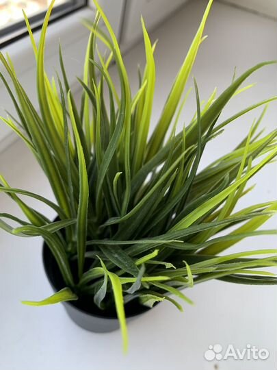 Искусственное растение IKEA