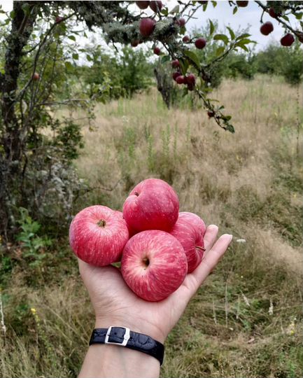 Участок 22,2 га (СНТ, ДНП)