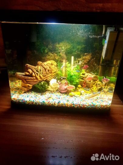 Аквариум
