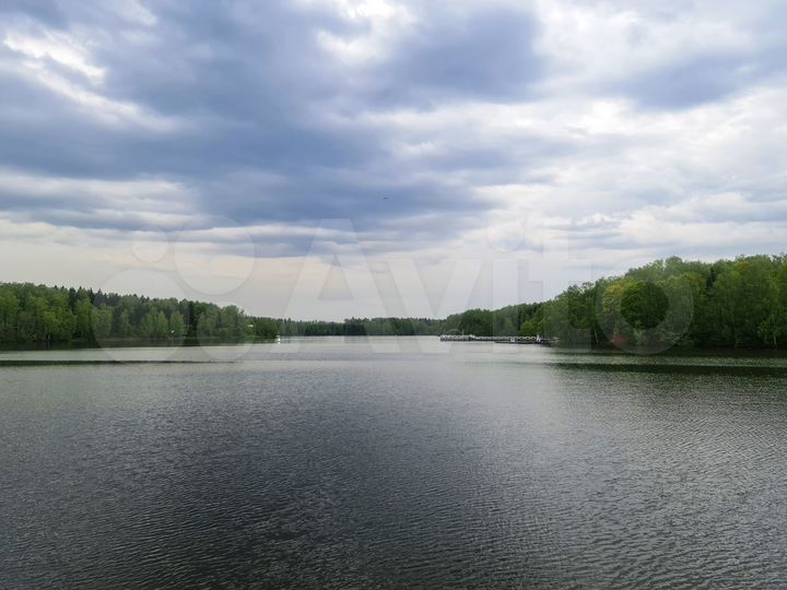 Участок 1 га (ИЖС)