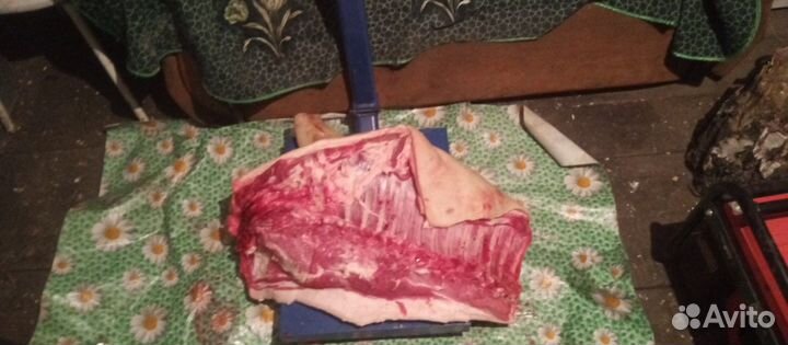 Продам мясо свинины