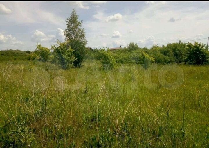 Участок 16 сот. (СНТ, ДНП)