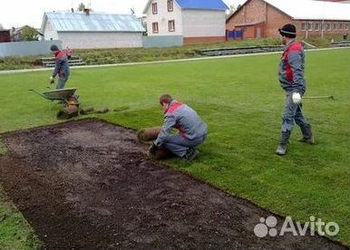 Укладка газона