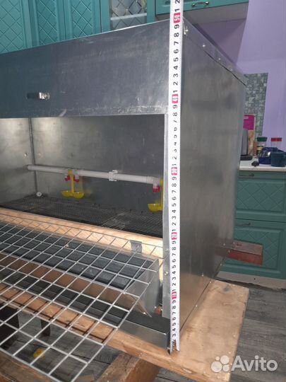 Брудер для цыплят