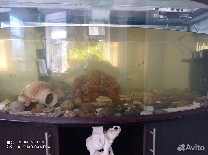 Продам аквариум