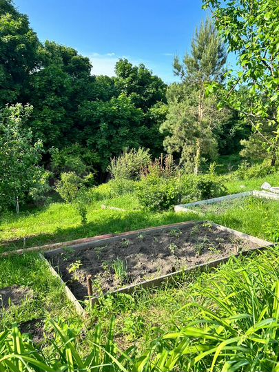 Дача 90 м² на участке 23 сот.