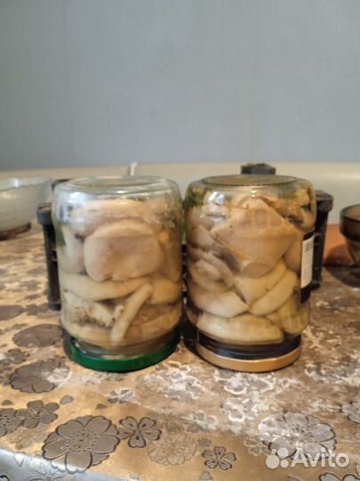 Продам грибы белый груздь