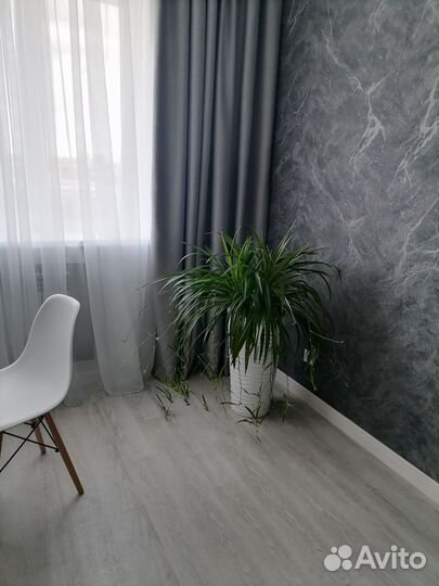 Хлорофитум