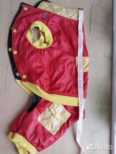 Одежда для средней собаки