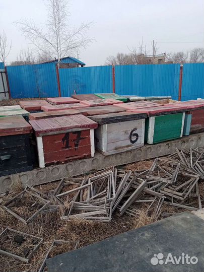 Ульи для пчел