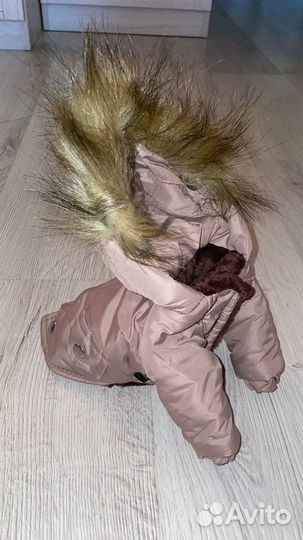 Куртка для мелких собак