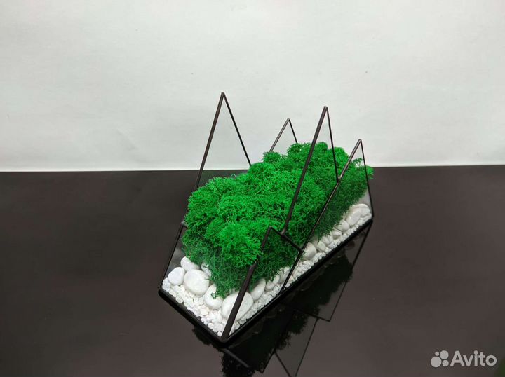Флорариум со мхом