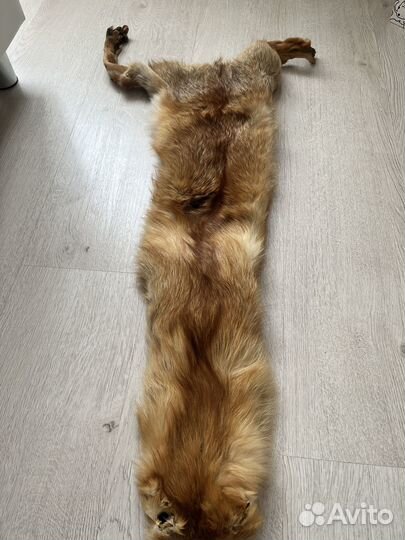 Мех лисы. (торг)