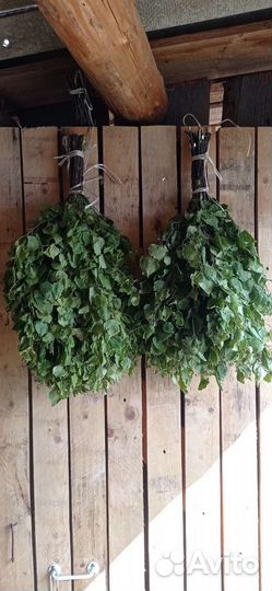 Березовые веники