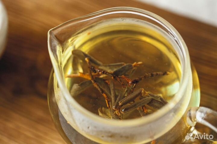 Саган-дайля