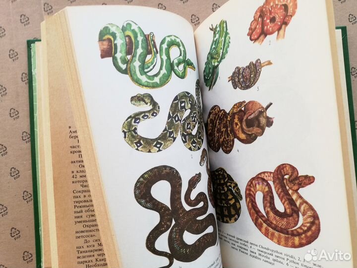 Редкие и исчезающие животные Книга-справочник Змеи