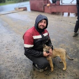 Машинист автокрана