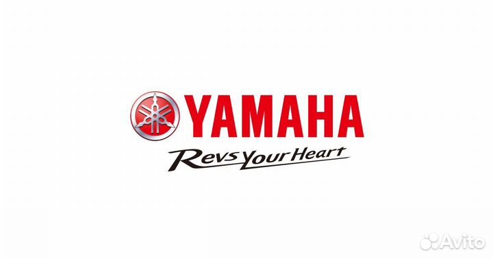 Yamaha Viking 540 Venture TF, Profi
