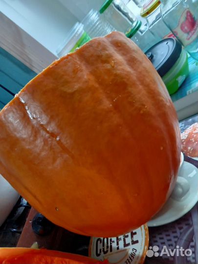 Семена сладкой тыквы на посадку