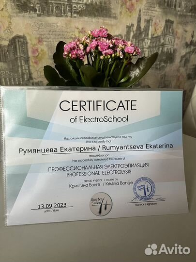 Электроэпиляция