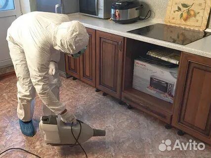 Уничтожение Тараканов Клопов Блох Клещей и т.д