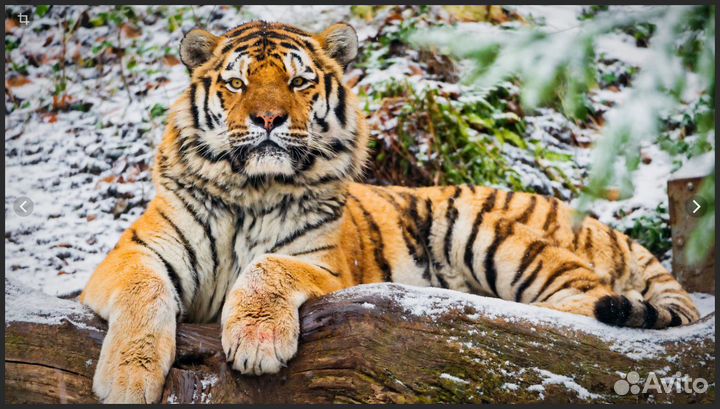 Грузчик с ежедневной оплатой