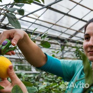 8 дек 23 Автобусный.тур 