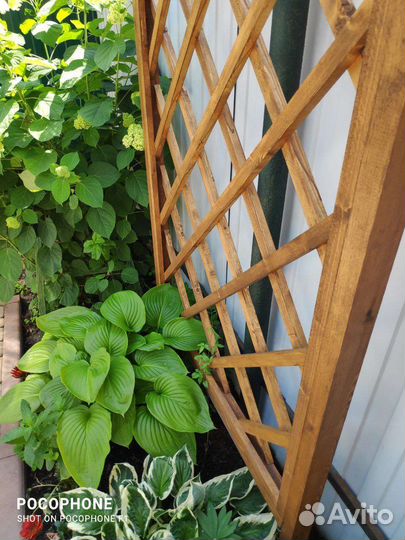Шпалера деревянная