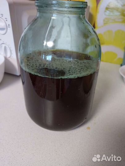 Квасной рис