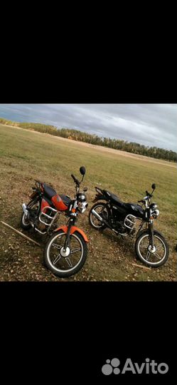 Альфа racer gs