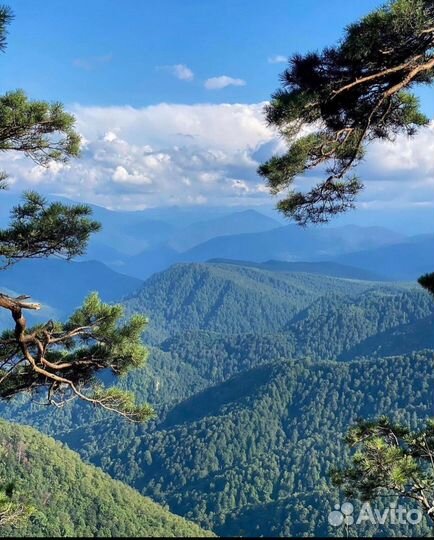 Хайкинг, треккинг и поездки в горы Адыгеи