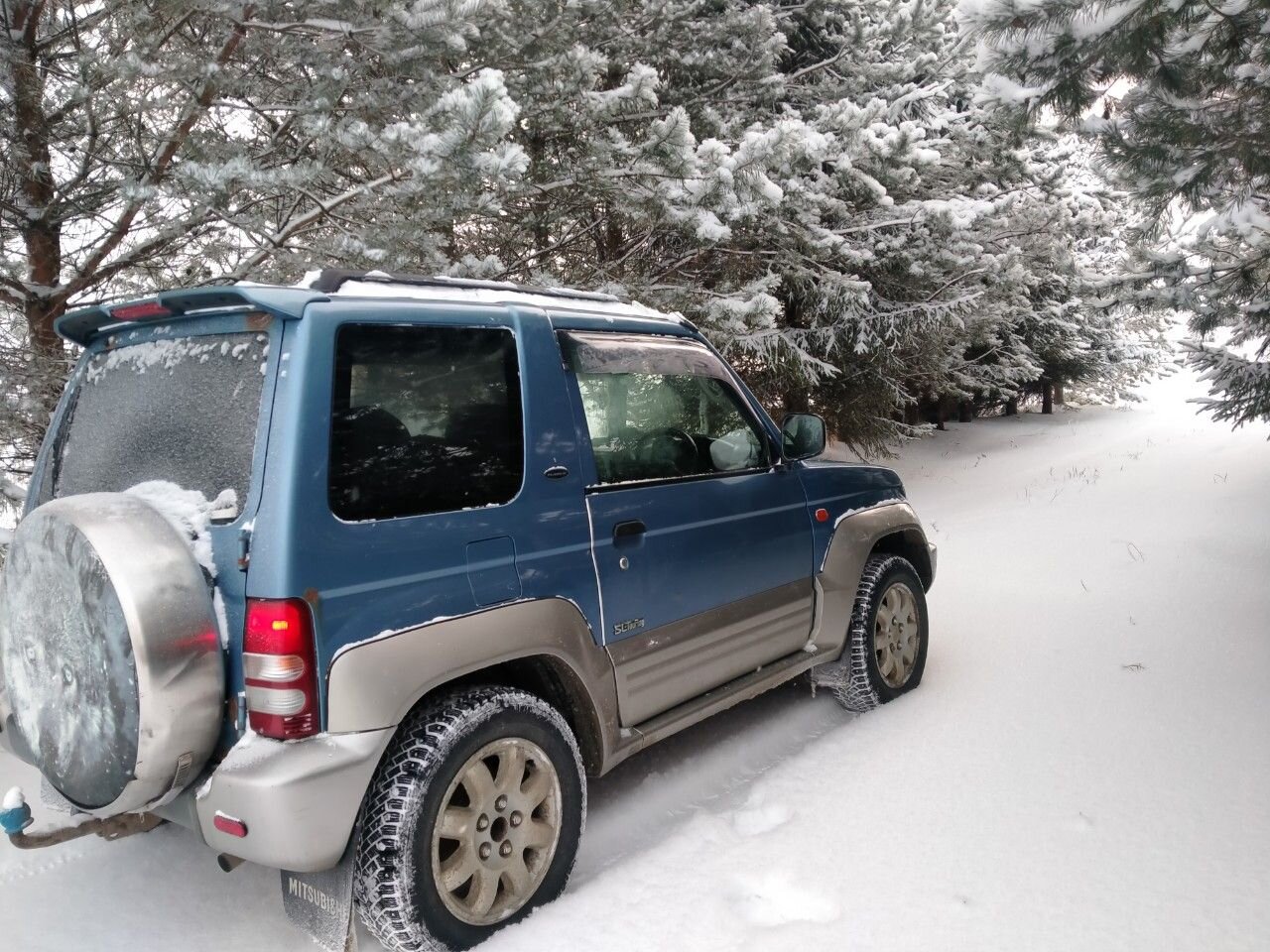 Mitsubishi Pajero Junior: фото из отзыва