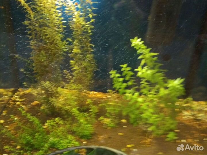 Аквариумный грунт (новый в упаковке)