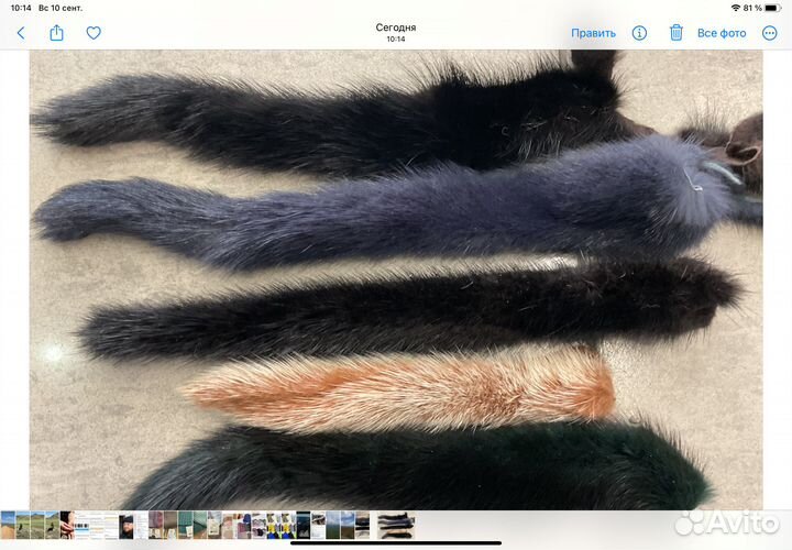 Хвосты норки