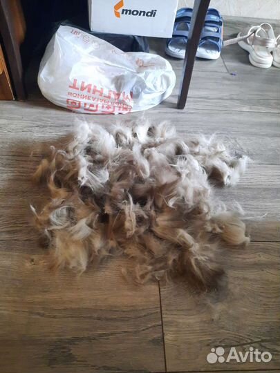 Шерсть от кота для валяния