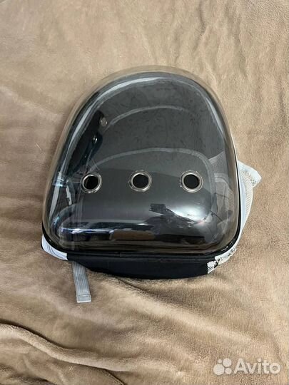 Прозрачный рюкзак-переноска для кошек