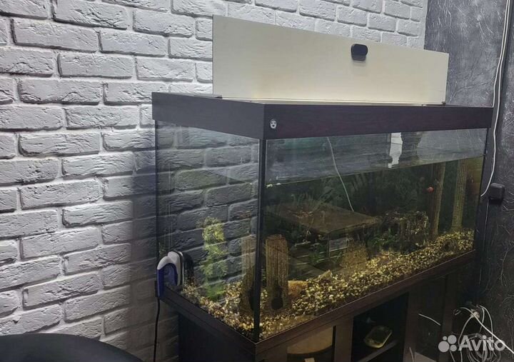 Аквариум с тумбой 300 литров