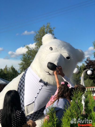 Ростовые куклы Мишка Тедди и Белый Большой Медведь